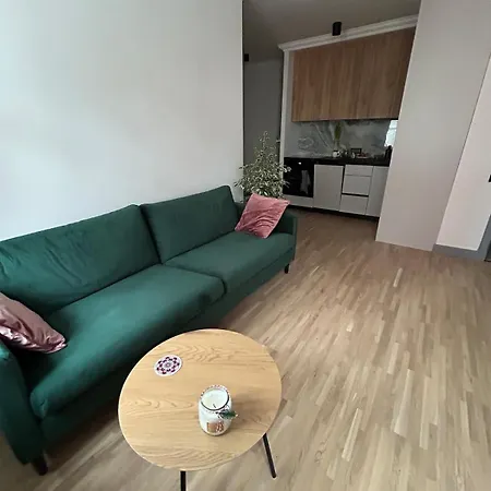 Cozy In Agenskalns Apartament Ryga